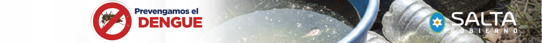 Banner publicitario